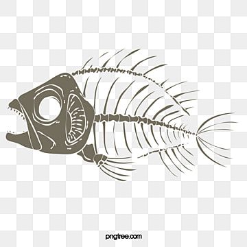 fish clipart,fish bones,fish bone,fishbone,terror,fish,bones,bone,bones clipart Fish Bones Illustration, Fish Bone Illustration, Fish Bone Drawing, Rapid Art, Bone Drawing, Bone Fish, Bubble Fish, Fish Background, Skull Anatomy