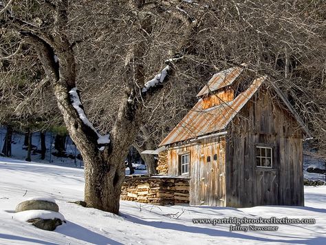 Sugar Shack Plans, Maple Water, Sugar Bush, Old Cabin, Cabin Tiny House, Family Cabin, Sugar Shack, Eternal Youth, Sugar Maple