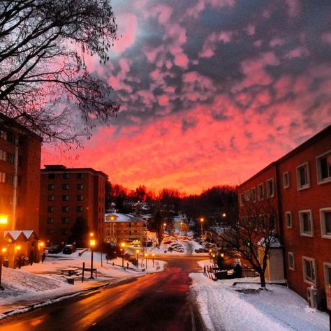 On the campus of Appalachian State University, Boone, NC App State University Aesthetic, Appalachian State University Aesthetic, Boone Nc Aesthetic, App State Aesthetic, Nc State Aesthetic, App State University, Nc State University, Living In North Carolina, Appalachian State University