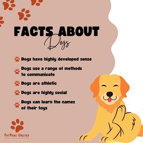 🐶🐶 Facts about Dogs. ❓❓ Facts About Dogs, Athletic Dogs, Training Dogs, Dog Sounds, Notes Ideas, Helpful Things, Behavior Modification, Dog Information, Dog Nutrition