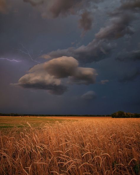 hoto by @ladzinski | A warm and strange glow filtered prismatically through a lightning-filled #supercell storm system at sunset over Deep South Aesthetic, Oklahoma Scenery, Thunderstorm Clouds, Lightning Cloud, Dust Bowl, Sky Full Of Stars, Deep South, Wheat Fields, Dark Skies