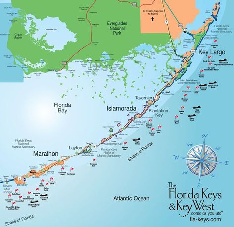 Heart-Pounding Adventure in The Florida Keys - Ordinary Traveler #FloridaKeysvacation Florida Keys Map, Florida Keys Travel, Florida Keys Road Trip, Key West Vacation, Travel Key West, Key Largo Florida, Key West Vacations, Fl Keys, Florida Adventures