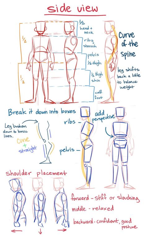 Art Tips/Refs/Techniques! on Twitter: "Side view Anatomy Tips by theredlinestation on tumblr!! #art #artist #ArtistOnTwitter… " Of Drawing, Drawing Creepy, Can Drawing, Steps Drawing, Draw Caricatures, Creepy Drawing, Expression Drawing, Drawing Birthday, Love Expression