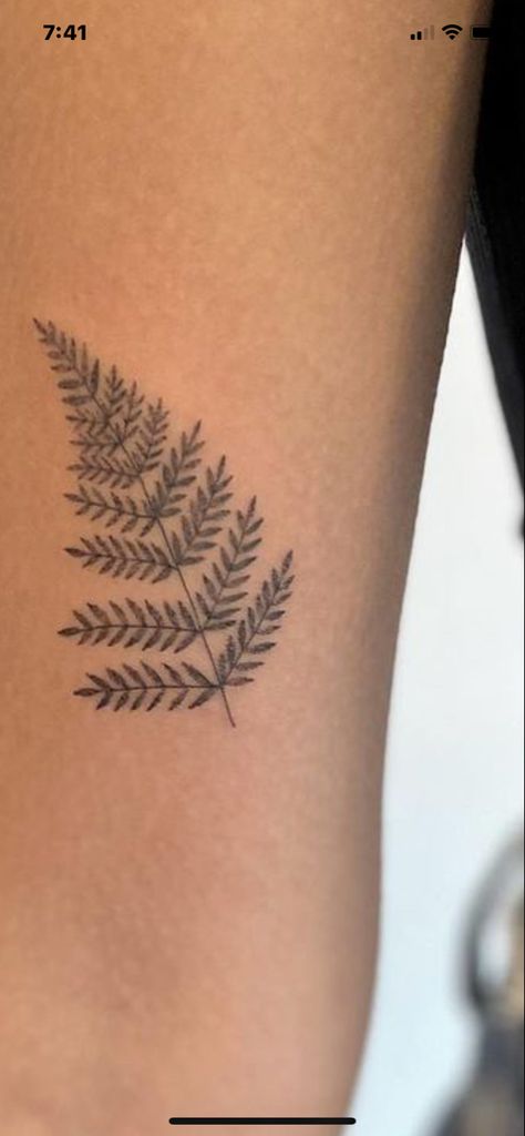 Tiny Fern Leaf Tattoo, New Zealand Leaf Tattoo, Fern Ankle Wrap Tattoo, Small Fern Leaf Tattoo, Fern Tattoo Simple, Fern Fine Line Tattoo, Red Fern Tattoo, Fern Ankle Tattoo, Dainty Fern Tattoo