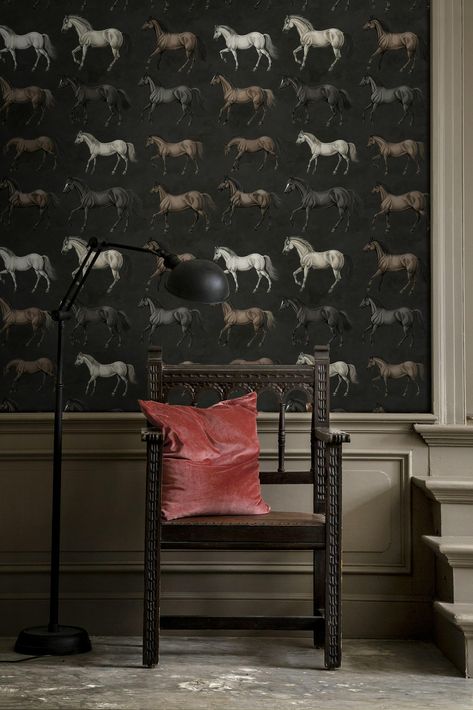 Elegant Horse Wallpaper Realistic Equine Design Peel and Stick Wall Mural Dark Background Equestrian Interior Design Home, Elegant Horse, Peel And Stick Wall Mural, Horses Theme, Horse Wallpaper, Equestrian Decor, Horse Wall, Smooth Walls, Elegant Designs