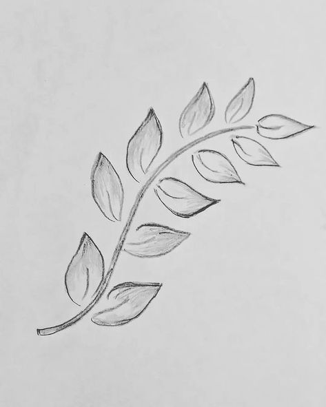 Easy art Drawing Pencil art Leaf Drawing For Aari Work, Leaf Drawing Pencil, Aari Pencil Drawing, Leaf Pencil Drawing, Leaf Drawing Easy, Drawing Pencil Art, Art Drawing Pencil, Peacock Crafts, Pencil Drawings Of Flowers