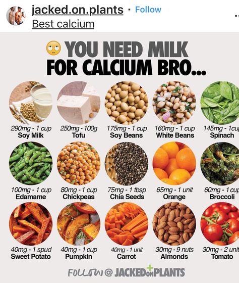 Vegan Calcium Sources, Vegan Calcium, Resep Vegan, Plant Based Protein Sources, Vegan Protein Sources, Calcium Rich Foods, Foods With Calcium, Vegan Nutrition, Plant Based Nutrition