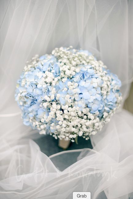 Gypsophila & hydrangea bridal bouquet made by www.stems.me.uk More Hydrangea Bridal Bouquet, Wedding Bridesmaid Bouquets, Hydrangea Bouquet Wedding, Blue And White Flowers, Blue Wedding Bouquet, Hydrangea Bouquet, Hydrangeas Wedding, Babies Breath, Blue Wedding Flowers