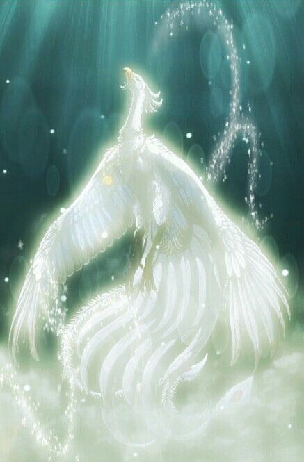 White Phoenix Fantasy Art, White Pheonix Drawing, Ice Pheonix Drawing, Wind Spirit Fantasy Art, White Phoenix Bird, Phoenix Bird Art, Phoenix Artwork, Mythical Birds, Mythical Creatures Fantasy