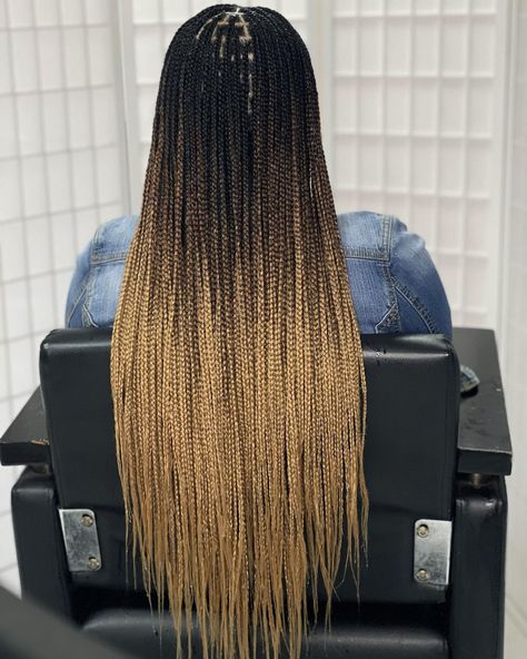 Shallow Hairstyle, Color Senegalese Twist, Knotless Braids Ombre, Ombré Knotless Braids, Rasta Braids, Box Braids Ombre, Natural Hair Box Braids, Lemonade Braids Hairstyles, Color Rubio