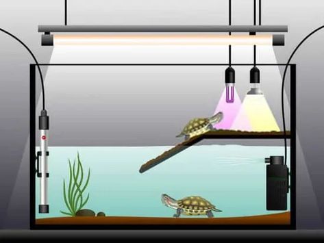 UVB Lights for Turtles Small Turtle Tank, Turtle Setup, Aquatic Turtle Habitat, Turtle Tank Ideas, Box Turtle Habitat, Aquatic Turtle Tank, Turtle Tank Setup, Turtle Enclosure, Turtle Basking Platform