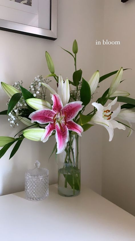 Room Decor Flowers, Lily Wallpaper, Boquette Flowers, Flower Gift Ideas, Lily Plants, Decor Flowers, Flower Shower, Nothing But Flowers, Plant Aesthetic