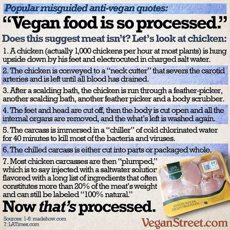 Anti Vegan, Reasons To Be Vegan, Reasons To Go Vegan, Vegan Facts, Being Vegan, Nutrition Chart, Nutrition Month, Vegan Memes, Sport Nutrition