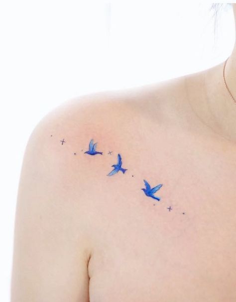 Smal birds tattoo on the shoulder by @vane.tattoo_ Tiny Tattoos Bird, Tiny Bird Tattoos For Women Finger, Bird With Stars Tattoo, Bluebird Shoulder Tattoo, Birds And Stars Tattoo, Small Bird Tattoos For Women Shoulder, Colored Bird Tattoos, Bird And Star Tattoo, Birds Shoulder Tattoo