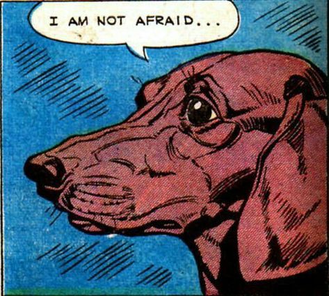 Out Of Context Comic Panels, Vintage Comic Panels, Old Comics Aesthetic, Absurd Art, Dogs In Space, Retro Comic Art, Comic Pop Art, I Am Not Afraid, Vintage Pop Art