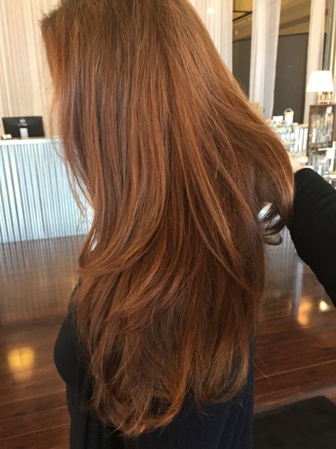 Red hair, layers, long hair Auburn Hair Long Layers, Long Ginger Hair With Layers, Long Layered Haircuts Red Hair, Auburn Hair Layers, Copper Gloss Hair, Light Redish Brownish Hair, Long Auburn Hair With Layers, Light Brownish Red Hair, Long Layered Red Hair