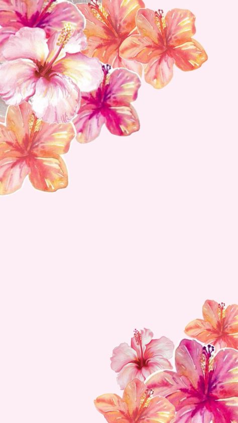 Ipad Wallpaper Good Quality, Habisquis Flower Wallpaper, Hibiscus Flower Wallpaper Laptop, Ipad Wallpaper Floral, Wallpaper Backgrounds Hibiscus, Hibiscus Desktop Wallpaper, Plumeria Wallpaper, Hawaiian Flowers Wallpaper, Hibiscus Flower Wallpaper Aesthetic