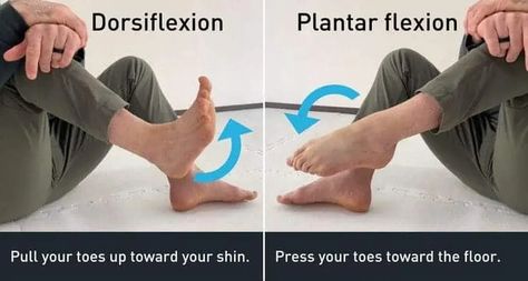 The Stiff Ankle Fix: 4 Exercises For More Range Of Motion 👉 GMB Fitness Ankle Range Of Motion Exercise, Range Of Motion Exercises, Home Remedies For Face, Ankle Exercises, Ankle Mobility, Animal Movement, Squats And Lunges, Desk Job, Range Of Motion