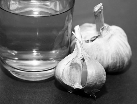 Grow Garlic In Water, Garlic Water, Grow Garlic, Water Health, Garlic Benefits, Lemongrass Tea, Growing Garlic, Gut Flora, Pepper Spice