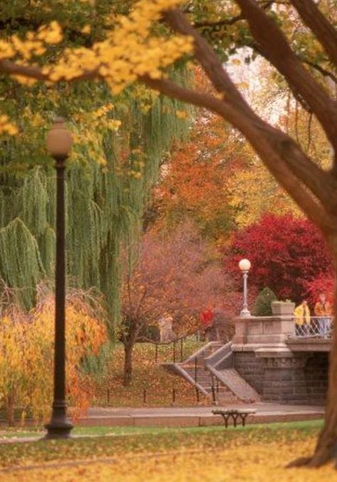 https://ift.tt/2nRUIJq via /r/AutumnPorn https://ift.tt/2ONFmRk Boston In The Fall, Autumn Pics, Boston Commons, Boston Public Garden, Boston Strong, Gorgeous Scenery, Dirty Water, Autumn Scenery, Public Garden