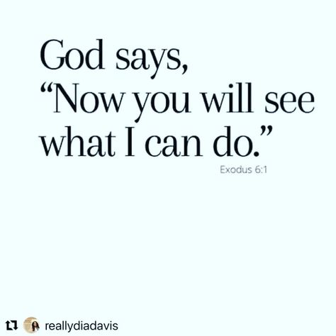 Anila | Thank you Lord🙏Amen ❤️🙏 #Repost @reallydiadavis with @use.repost ・・・ Hold Your Peace. Amen 🙏🏿 : Follow for daily empowerment, prayers… | Instagram Lord Thank You, Testimony Quotes, Biblical Motivation, Hold Your Peace, Family Forever, Daily Prayers, Thank You Jesus, Jesus Bible, Prayer Verses