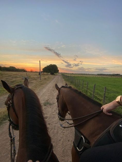 Summer Camera, Equestrian Aesthetic, Donkeys, Summer Sunset, Teenage Years, Aesthetic Themes, Horse Girl, Ponies, Aesthetic Pictures