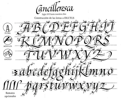 Calligraphy Alphabets - A List Of Major Historical Scripts | Lettering Daily Italic Calligraphy, Lettering Practice Sheets, Calligraphy Letters Alphabet, Calligraphy Fonts Alphabet, Cursive Calligraphy, Calligraphy Tutorial, Handlettering Quotes, Calligraphy For Beginners, Alphabet A