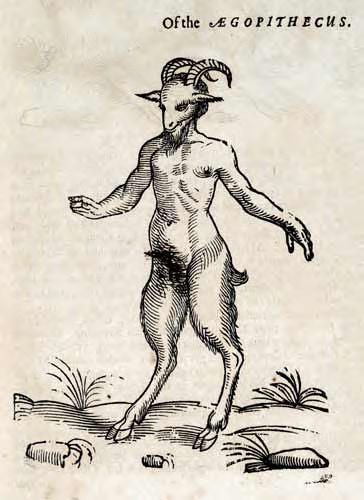 12 Fantastic Drawings of Fictional Creatures from a 17th Century Book Old Book, In The Middle, The History, The Middle, A Man, History