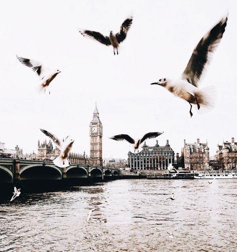 London Aesthetic, Fotografi Vintage, Aesthetic Themes, Poets, Big Ben, Mood Boards, Monument, Places To Go, Taylor Swift