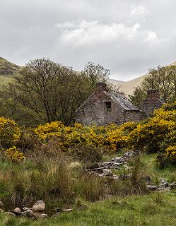 Hillside Cottage, Scottish Cottages, Welsh Cottage, Scottish Countryside, Irish Cottage, Irish Landscape, Old Stone, Abandoned Buildings, English Countryside