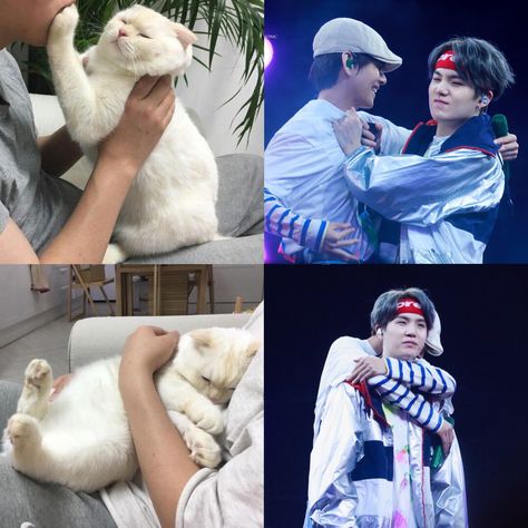 Suga Lil Meow Meow, Yoongi Heart, Yoongi And Taehyung, Lil Meow Meow, Anime Character Names, Suga Yoongi, Funny Images Laughter, Min Yoongi Bts, Bts Imagine