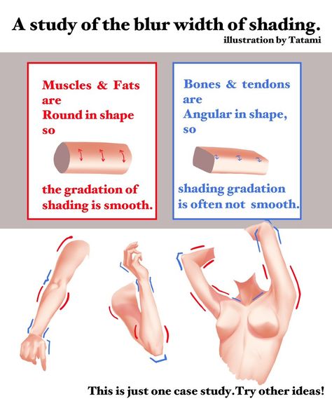 Art Anatomy, Art Advice, Anatomy Study, Art Tools Drawing, Body Anatomy, Coloring Tutorial, Digital Painting Tutorials, Body Reference, Anatomy Reference