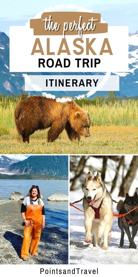 The Perfect Alaska Road Trip Itinerary Alaska Family Vacation, Alaska Bucket List, Road Trip Summer, Alaska Summer, National Parks Road Trip, Alaska Road Trip, Alaska National Parks, Trip To Alaska, Alaska Highway