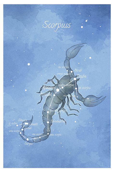 ~ Scorpio ~ What makes YOU tick?  Sign up for a chance to win a FREE #astrology reading. www.insideconnection.tv  Winners chosen monthly. Scorpius Constellation, Constellation Scorpio, Scorpio Art, Astrology Scorpio, Scorpio Traits, Scorpio Tattoo, Zodiac Signs Scorpio, Astronomy Art, Astrology Art