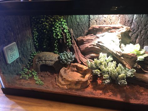 Rosy Boa Enclosure, King Snake Enclosure, Arid Terrarium, Leopard Gecko Diy, Gecko Enclosure, Bearded Dragon Vivarium, Leopard Gecko Habitat, Leopard Gecko Care, Snake Cages