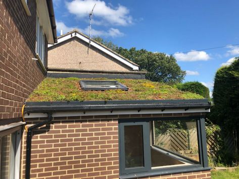 Green roof installation - Portfolio Sedum Roof, Green Roofs, Log Store, Roof Extension, Roof Installation, Rooftop Garden, Green Roof, Wow Factor, Front Garden