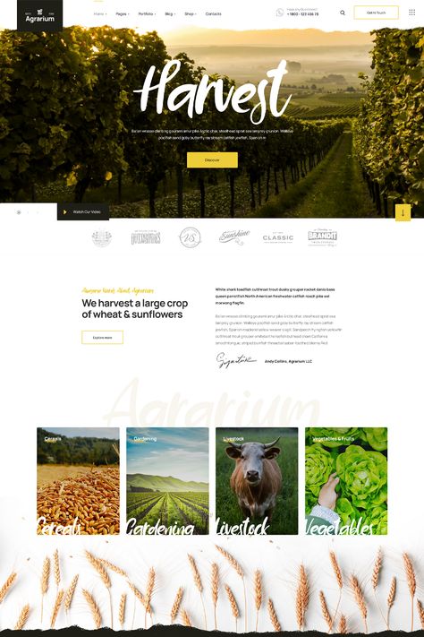 The "Agrarium Agriculture & Organic Food WordPress Theme" is a comprehensive and visually appealing solution designed for businesses in the agriculture and organic food industries. With its farm-inspired design and comprehensive features, this theme offers a robust platform for showcasing products, promoting sustainable practices, and connecting with customers. Farm Livestock, Organic Food Shop, Agriculture Design, Wix Website Templates, Ui Design Website, Dairy Farm, Organic Farm, Living Off The Land, Web Themes