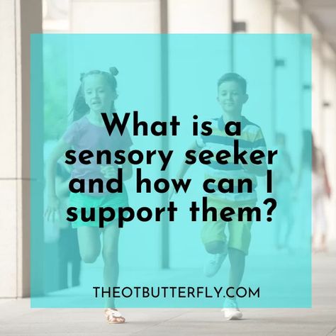 What is a Sensory Seeker and How Can I Support Them? - Sensory Seeker Vs Sensory Avoider, Hyposensitive Sensory Processing, Sensory Dysregulation, Sensory Seeker Activities, Brain Nervous System, Sensory Seeker, Sensory Diet, Sensory Board, Infp Personality