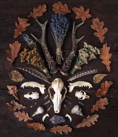 Appalachian Witch Aesthetic, Folk Magic Aesthetic, Bosmer Aesthetic, Animal Bones Aesthetic, Folk Horror Aesthetic, Eclectic Witch Aesthetic, Witch Objects, Appalachian Witch, Appalachian Folk Magic