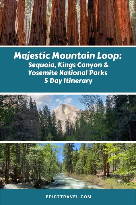 Sequoia National Park Road Trip, Yosemite Sequoia Kings Canyon, Yosemite Sequoia, California Road Trip Itinerary, Yosemite Trip, California Road Trip, Carlsbad Caverns National Park, California Parks, Channel Islands National Park