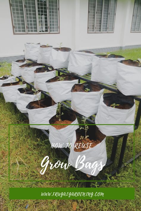 Did you know that you can reuse grow bags from year to year, too? Here's how to reuse grow bags and save money down the line. #gardeningtips #frugalgardening #recycling #growbags #savingmoney Diy Grow Bags How To Make, Growbag Garden Ideas, Grow Bag Garden, Diy Grow Bags, Garden Rack, Frugal Gardening, Building Raised Beds, Military Housing, Garden Bags