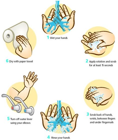 How to wash your hands. Good for young kids. Personal Hygiene Activities, Hand Washing Technique, Healthy Habits For Kids, Hygiene Activities, Proper Hand Washing, Health Facts Fitness, Health Images, Washing Hands, Cold Prevention