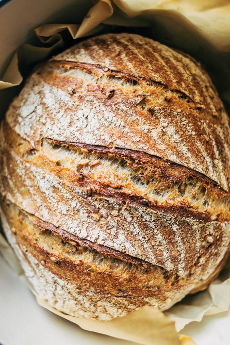 A delicious loaf with complex flavour and texture, this whole wheat blend sprouted grain sourdough is a great addition to your baking rotation. #sourdough #baking #noyeast #sprouted #wheat #bread Sprouted Sourdough Bread Recipe, Sprouted Grain Sourdough Bread, Sprouted Wheat Sourdough Bread, Sprouted Wheat Bread Recipe, Sprouted Sourdough Bread, Multi Grain Sourdough Bread Recipe, Sprouted Bread Recipes, Whole Grain Sourdough Bread Recipe, Sprouted Grain Bread Recipe