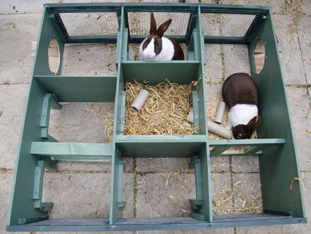 Beat bunny boredom – Make your own rabbit maze| Petplan | Petplan Diy Bunny House, Bunny Toys Diy Homemade, Homemade Rabbit Toys, Diy Bunny Cage, Diy Bunny Toys, Outdoor Rabbit Hutch, Rabbit Enclosure, Rabbit Farm, Bunny Room