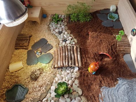 Tartaruga Habitat, Tortoise Terrarium, Kandang Hamster, Outdoor Tortoise Enclosure, Turtle Enclosure, Pet Tortoise, Diy Guinea Pig Cage, Tortoise Food, Tortoise Table