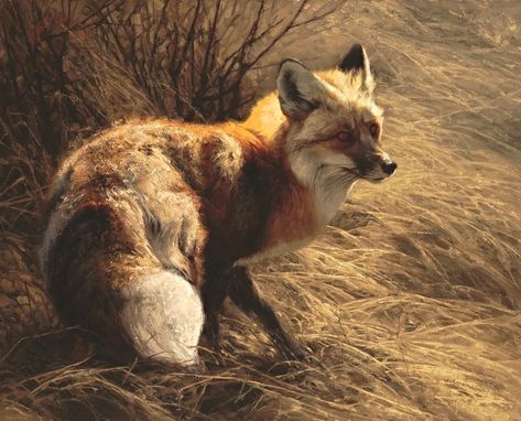 Greg BeechamArchive — Greg Beecham, Fox Artwork, Wildlife Artwork, Wildlife Paintings, Fox Art, Animals Artwork, Arte Animal, Wildlife Art, Animal Paintings