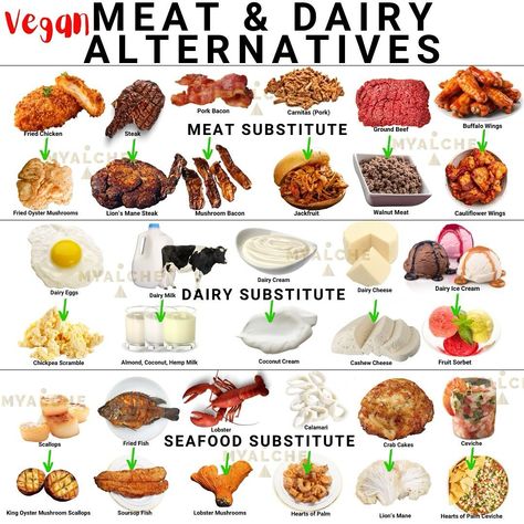 @MYALCHE Meat & Dairy Alternatives✨MYALCHE.com 🎥 YouTube.com/MYALCHE . #vegan #plantbased #veganfood #veganrecipes No Meat Or Dairy Meals, Vegan Substitutes For Meat, Plant Based Meat Alternatives, Processed Meat Alternatives, Meat Alternatives Recipes, Plant Based Meat Recipes, Vegan Meat Alternatives, Vegetarian Alternatives, Vegetarian Facts