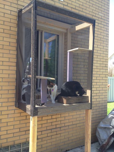 Enclosed porch for cats Cat Porch, Outdoor Cat Tree, Catio Ideas, House Porch, Cat Patio, Outdoor Cat Enclosure, Cat House Diy, Cat Run, Outdoor Cat House