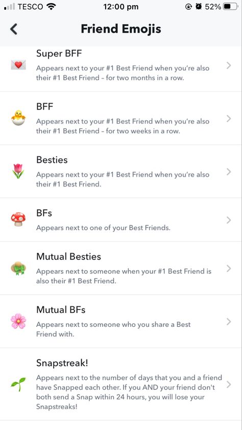 Snapchat Emoji Themes Spring, Spring Snapchat Friend Emojis, Snapchat Friend Emojis Ideas, Emojis Snapchat, Snap Emojis, Friends Emoji, Snapchat Friend Emojis, Friend Emojis, Snapchat Emojis