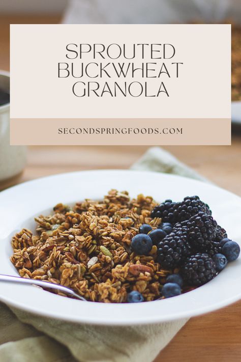 When buckwheat is sprouted, the structures of the seed start to break down, giving it a satisfying crunchy quality that’s perfect for granola. Sprouting also mellows buckwheat’s distinct earthy flavour, so it blends well with the other flavours. Whole grain and naturally sweetened, simply mix the ingredients together, spread on a pan, bake and enjoy! Sprouted Recipes, Sprouted Buckwheat, Clean Eating Protein, Buckwheat Granola, Eating Protein, Coconut Slice, Sprout Recipes, Pumpkin Pecan, Honey And Cinnamon